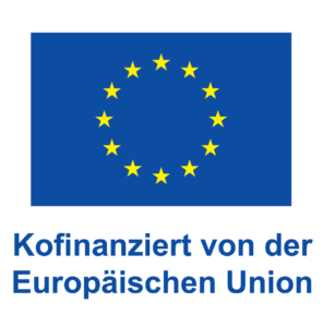 DE-V-Kofinanziert-von-der-Europäischen-Union_POS-296x300.png (296×300)